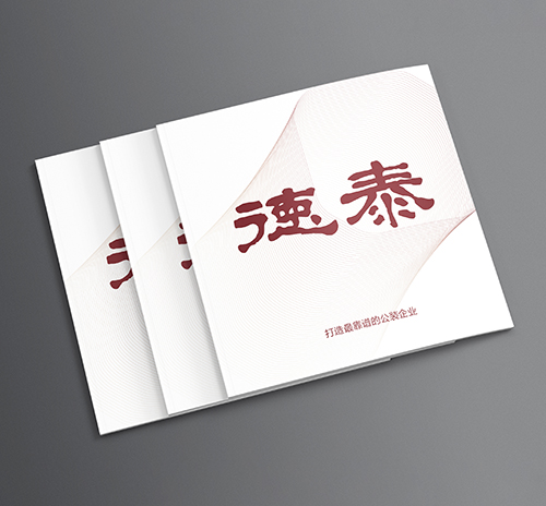 德泰建设企业画册